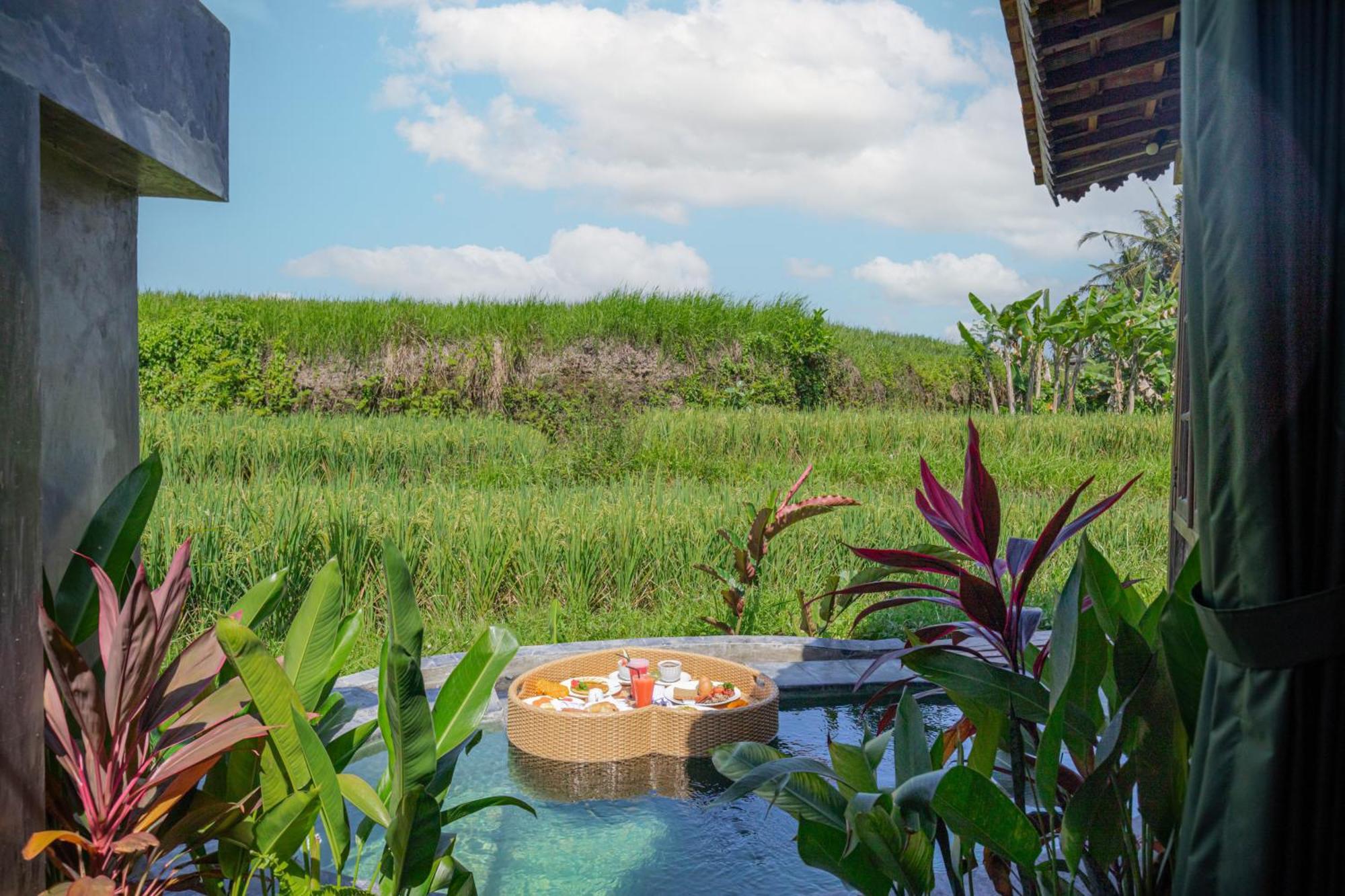 Abian Ubud View מראה חיצוני תמונה